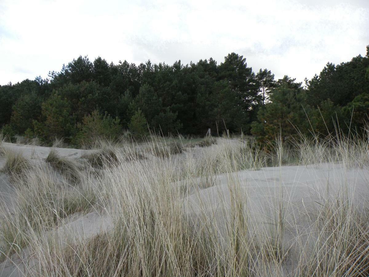 Duene 74 Gasthof